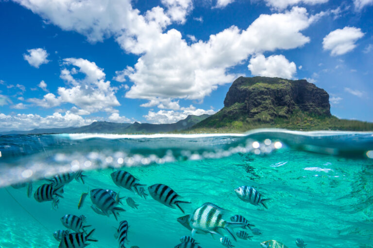Top Reiseziele 2027: Lonely Planet kürt die besten Destinationen weltweit
