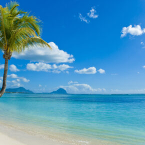 Afrika: 15 Tage auf Mauritius mit TOP 3* Hotel & Flug für 495€ Afrika: 15 Tage auf Mauritius mit TOP 3* Hotel & Flug für 495€