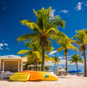 14 Tage Miami & Bahamas mit Flug und 5-tägiger Karibik-Kreuzfahrt inkl. Vollpension nur 524€ 14 Tage Miami & Bahamas mit Flug und 5-tägiger Karibik-Kreuzfahrt inkl. Vollpension nur 524€