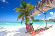 Ab auf die Seychellen: Direkte Hin- & Rückflüge auf die Trauminseln im Indischen Ozean a...