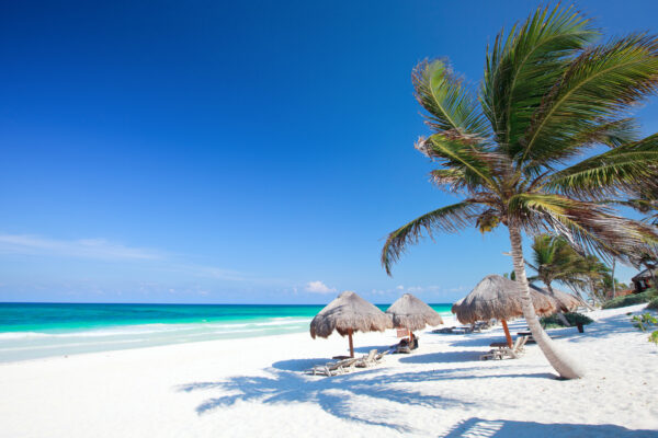 Tulum Strand Palmen