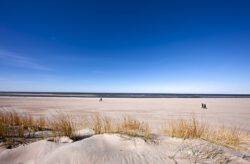 Kurztrip an der niederländischen Nordsee: 3 Tage im 4* Boutique Hotel mit Frühstück, Wellness...