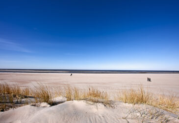 Kurztrip an der niederländischen Nordsee: 3 Tage im 4* Boutique Hotel mit Frühstück, Wellness...