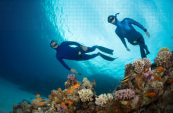 Ägypten: 7 Tage Hurghada im 4* Resort mit All Inclusive, Flug & Transfer nur 551€