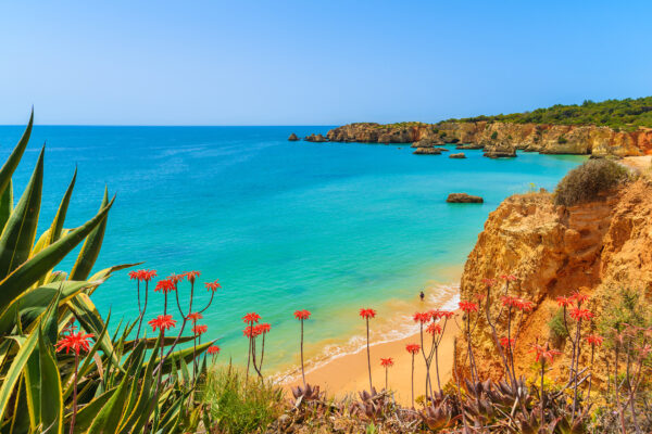 Algarve Blumen Ausblick