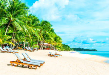 Perfekte Kombi: 16 Tage Miami mit Flug (davon 5 Tage Bahamas-Kreuzfahrt) inkl. Vollpension nu...