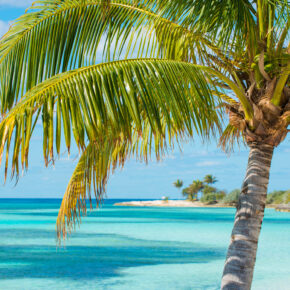 Sommerferien: 6 Tage Karibik Kreuzfahrt inkl. Vollpension nur 472€ // 15 Tage Miami mit Direktflug & Kreuzfahrt nur 909€ Sommerferien: 6 Tage Karibik Kreuzfahrt inkl. Vollpension nur 472€ // 15 Tage Miami mit Direktflug & Kreuzfahrt nur 909€