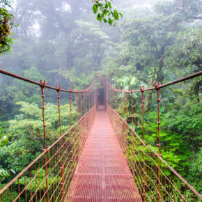 14 Tage Costa Rica mit Flug & Strandhotel inkl. Frühstück nur 485€ 14 Tage Costa Rica mit Flug & Strandhotel inkl. Frühstück nur 485€