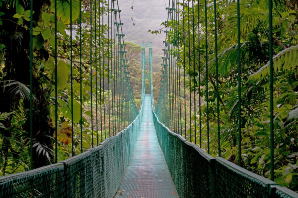 Costa Rica Brücke Jungle