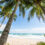 Roadtrip durch Costa Rica: 10-tägige Rundreise mit Mietwagen, Flug & Unterkünften für 1599€