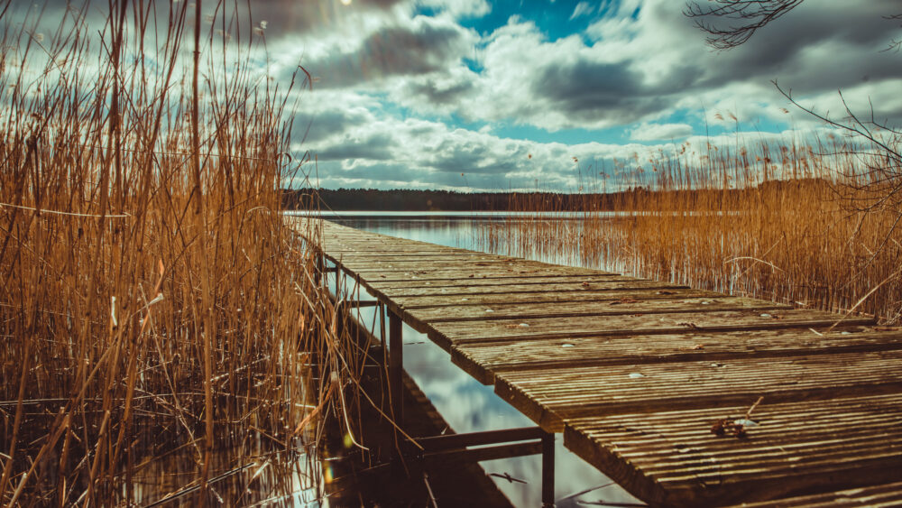 Mecklenburgische Seenplatte Steg