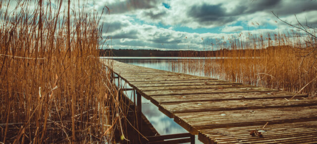 Mecklenburgische Seenplatte Steg