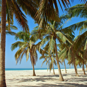 Arabische Halbinsel: 5 Tage Salalah im TOP 4* Hotel mit Frühstück, Flug, Transfer und Zug nur 383€ Arabische Halbinsel: 5 Tage Salalah im TOP 4* Hotel mit Frühstück, Flug, Transfer und Zug nur 383€