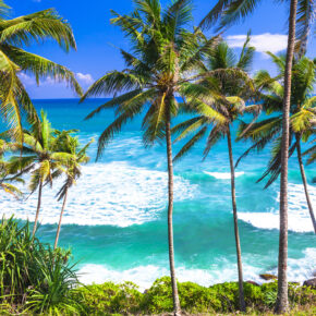 10 Tage Sri Lanka im guten 3* Hotel inkl. Halbpension, Flug & Transfer für 364€ 10 Tage Sri Lanka im guten 3* Hotel inkl. Halbpension, Flug & Transfer für 364€