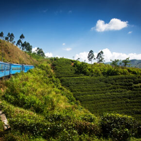 Sri Lanka Tipps: Eine Entdeckungsreise durch die Perle des Indischen Ozeans Sri Lanka Tipps: Eine Entdeckungsreise durch die Perle des Indischen Ozeans