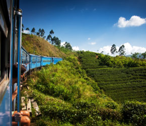 Single-Reise: 9 Tage Sri Lanka im tollen 3.5* Hotel mit Frühstück, Flug & Transfer nur 839€ Single-Reise: 9 Tage Sri Lanka im tollen 3.5* Hotel mit Frühstück, Flug & Transfer nur 839€