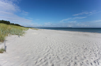 Wellness-Auszeit auf Rügen: 3 Tage im 4* Adults-Only-Hotel mit Frühstück nur 111,50€