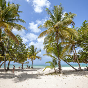 Unglaublich günstig in die Karibik: Hin- & Rückflüge nach Tobago mit Gepäck nur 400€ Unglaublich günstig in die Karibik: Hin- & Rückflüge nach Tobago mit Gepäck nur 400€
