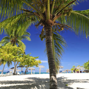 Karibik Feeling: 7 Tage Kuba mit Hotel, All Inclusive, Flug, Transfer & Zug für nur 363€ Karibik Feeling: 7 Tage Kuba mit Hotel, All Inclusive, Flug, Transfer & Zug für nur 363€