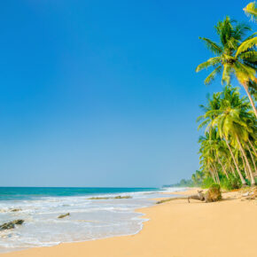 Traumurlaub: 15 Tage auf Martinique mit Hotel & Flug nur 747 € Traumurlaub: 15 Tage auf Martinique mit Hotel & Flug nur 747 €