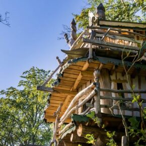 2 Tage im Baumhaushotel direkt am See inkl. Frühstückskorb & Kanu-Verleih für 117€ 2 Tage im Baumhaushotel direkt am See inkl. Frühstückskorb & Kanu-Verleih für 117€