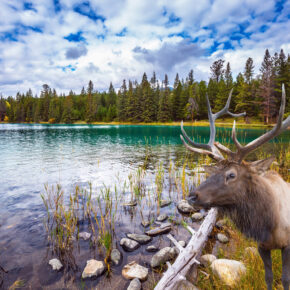 Wundervolles Kanada: 13 Tage Roadtrip durch die traumhaften Landschaften Ost-Kanadas ab/bis Halifax nur 519€ Wundervolles Kanada: 13 Tage Roadtrip durch die traumhaften Landschaften Ost-Kanadas ab/bis Halifax nur 519€