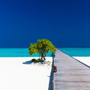 Traumurlaub auf den Malediven: 14 Tage mit 3* Hotel inkl. Frühstück & Flug für 624€ Traumurlaub auf den Malediven: 14 Tage mit 3* Hotel inkl. Frühstück & Flug für 624€