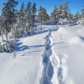 Skigebiet Schnee Österreich