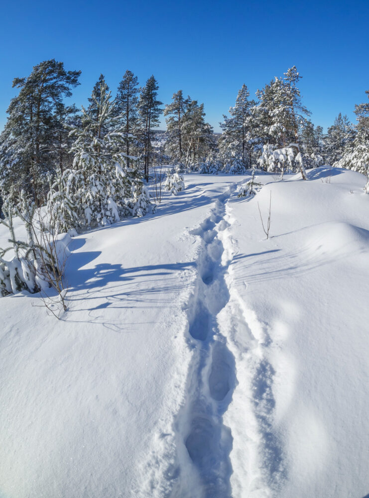 Skigebiet Schnee Österreich