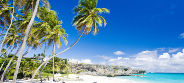 Atlantiküberquerung der anderen Art: 16-tägige Kreuzfahrt mit All Inclusive von Barbados nach Mallorca für 1149€