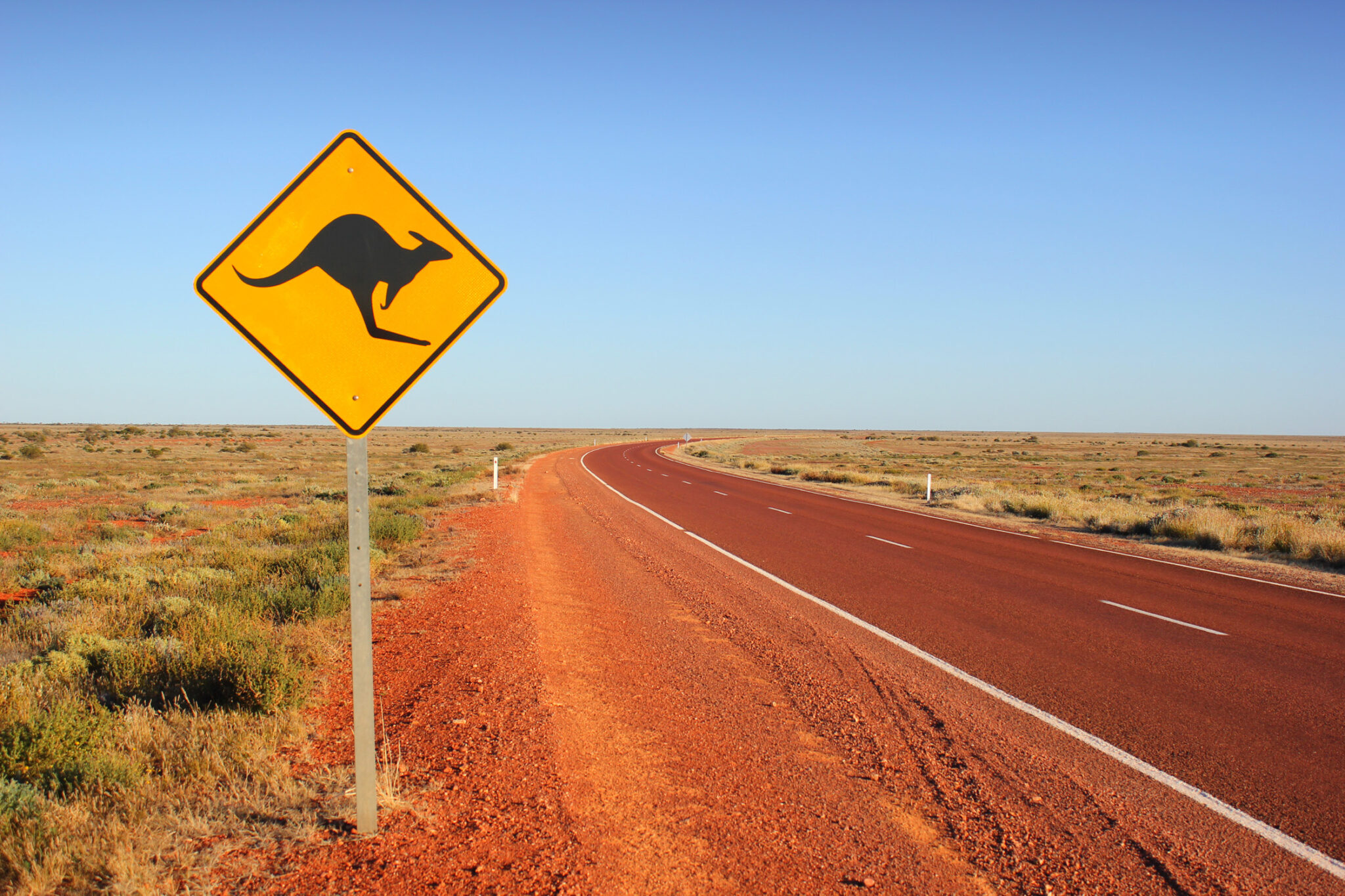 Die Top 5 der gefährlichsten Tiere Australiens