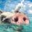 Wahnsinn! Hin- und Rückflüge für 15 Tage auf die Bahamas nur 574€