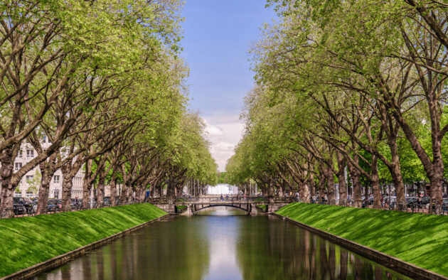 Düsseldorf Rhein Fluss Allee