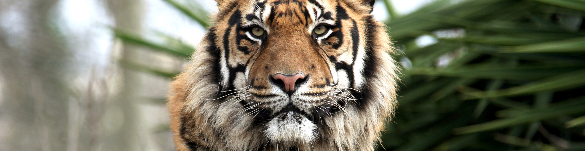 Stuttgart Zoo Eintritt Stuttgart Zoo Eintritt