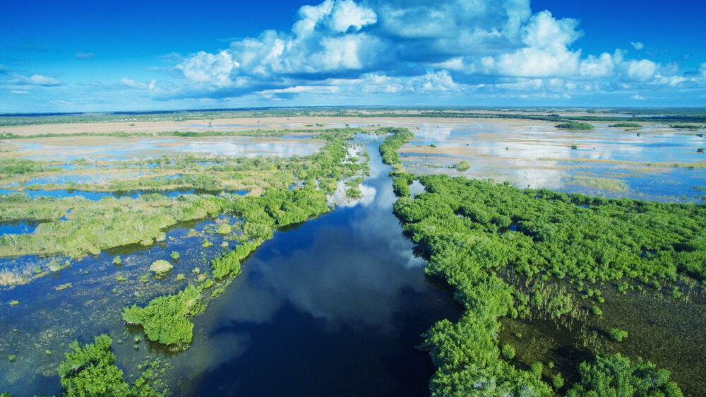 USA Florida Everglades von oben