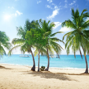 Single-Urlaub in der Karibik: 9 Tage Dom Rep im 4* Hotel mit All Inclusive, Direktflug, Transfer & Zug nur 1.061€