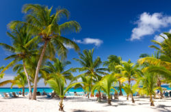 Karibik Schnapper: 9 Tage Dom Rep im 4* RIU Hotel mit All Inclusive, Flug & Transfer nur...