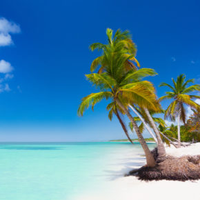 Punta Cana: 9 Tage im 5* RIU Hotel mit 24h All Inclusive, Flug & Transfer nur 756€ Punta Cana: 9 Tage im 5* RIU Hotel mit 24h All Inclusive, Flug & Transfer nur 756€