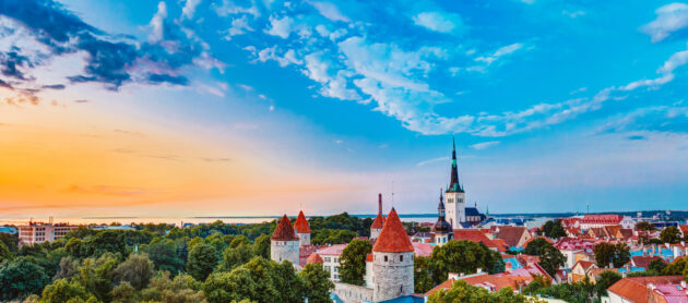 Estland Tallinn Burg Panorama