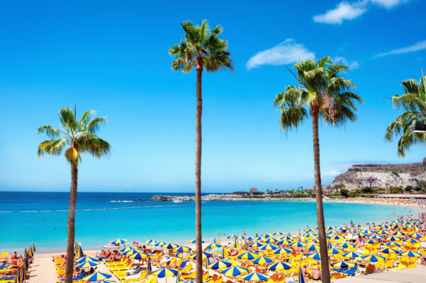 Beste Reisezeit für Gran Canaria 