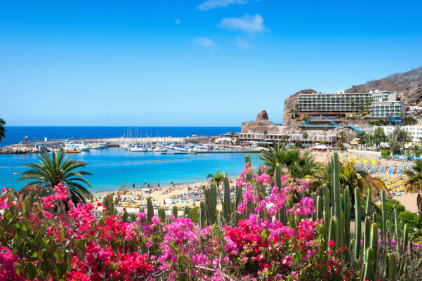 Beste Reisezeit für Gran Canaria 