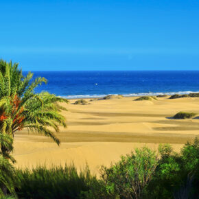 Gran Canaria Schnäppchen: 1 Woche im TOP 3.5* Hotel mit AI, Flug, Transfer & Zug nur 427€ Gran Canaria Schnäppchen: 1 Woche im TOP 3.5* Hotel mit AI, Flug, Transfer & Zug nur 427€