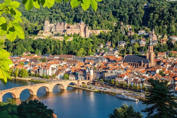 Heidelberg Brücke Fluss Stadt