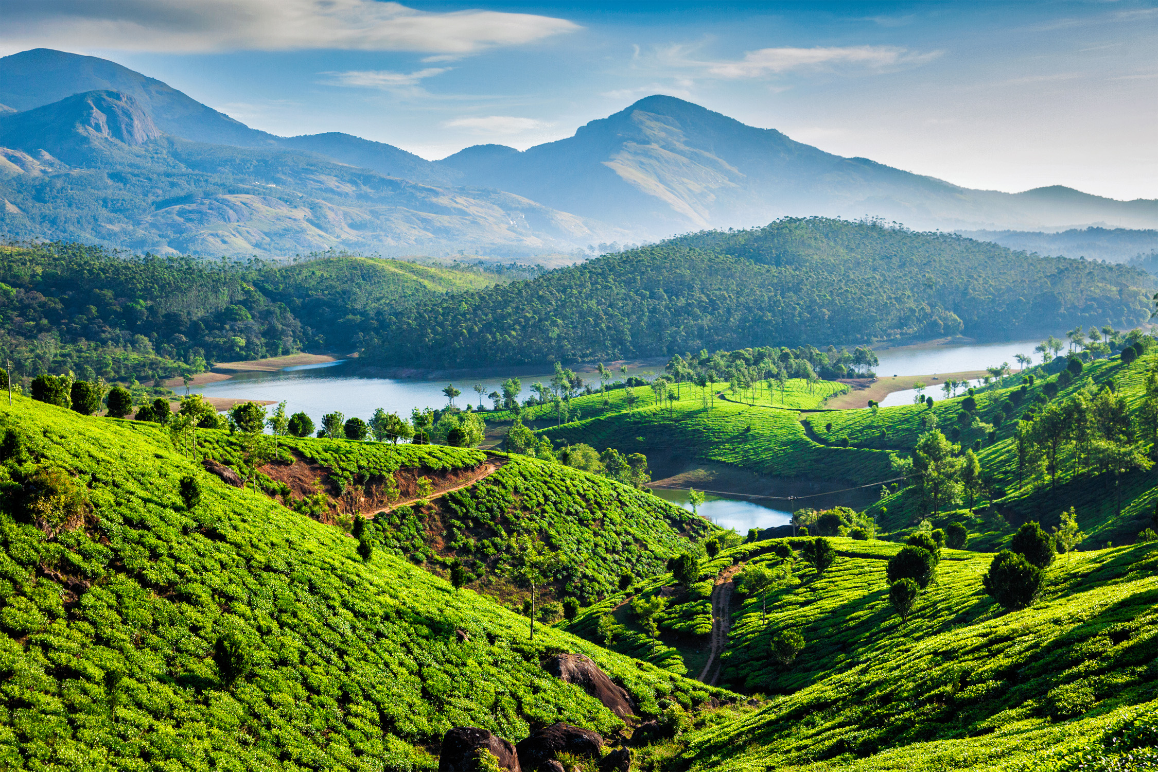 Kerala in Indien: Die TOP 12 Sehenswürdigkeiten - Urlaubstracker.de