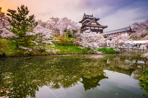 Japan Burg Frühling