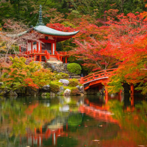 Im japanischen Yunessun macht Baden betrunken Im japanischen Yunessun macht Baden betrunken