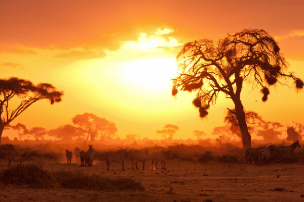 Kenia Sonne