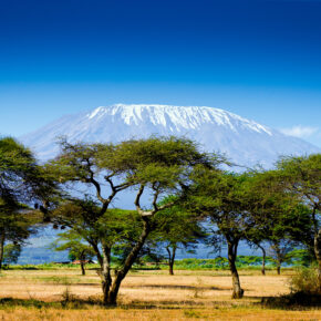 Abenteuer Kenia: 10 Tage im TOP 3* Hotel am Strand, Halbpension, Flug & Transfer nur 874€