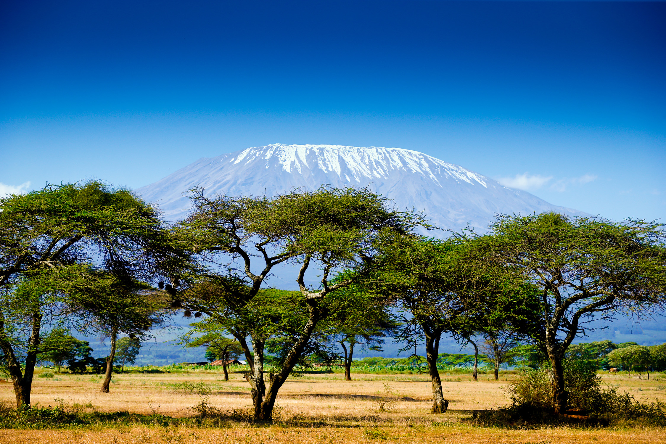 Abenteuer Kenia 10 Tage im TOP 3* Hotel am Strand, Halbpension, Flug