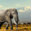 Safari-Kracher: 17 Tage Kenia-Rundreise mit 4* Lodge, Vollpension, Flug, Safaris, Badeaufenthalt & Transfers nur 1799€